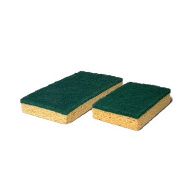 tamponges-verts-x10