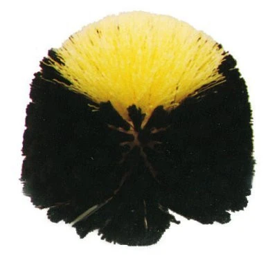 tete-de-loup