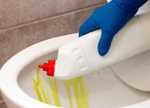 Sanitaire et vide-ordure